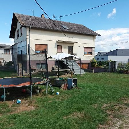 Villa Chez Georges Et Colette Saasenheim Esterno foto